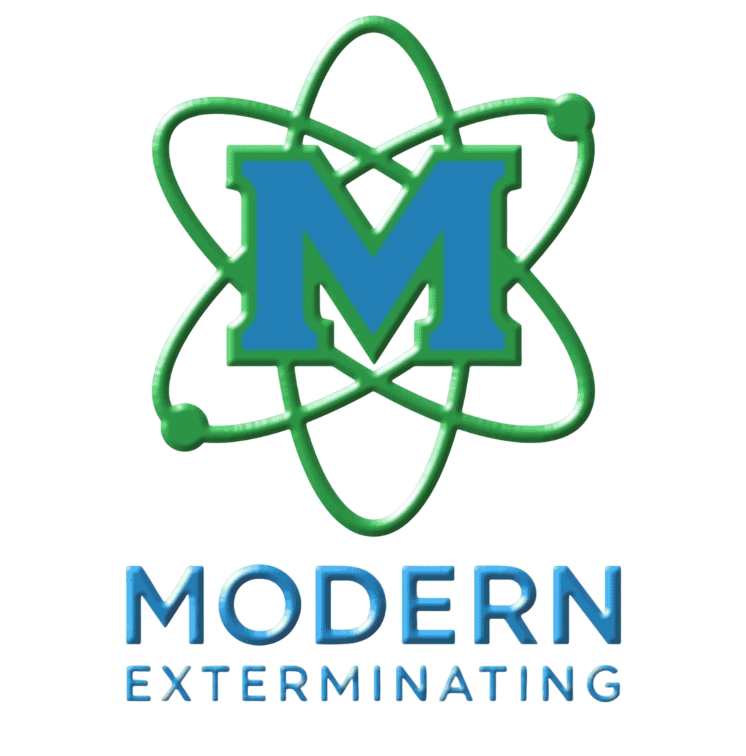 modernlogo